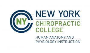 NYCC Human Anatomy and Physiology Instruction