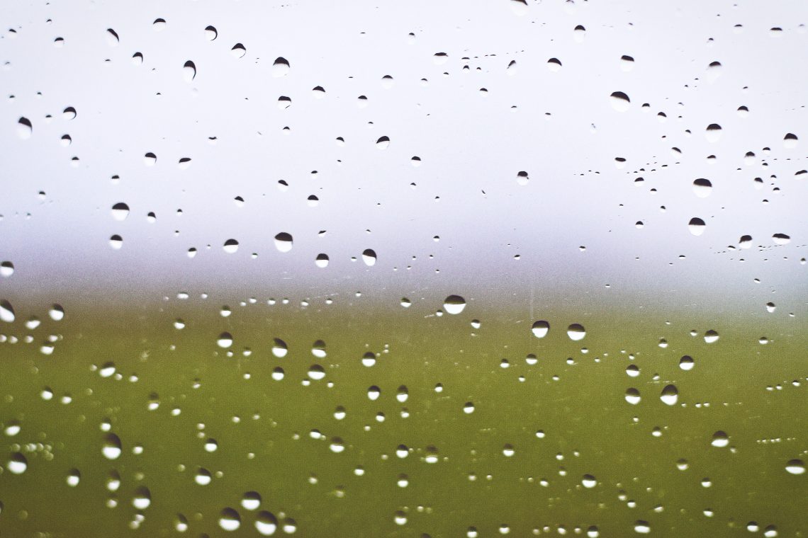 The Case for Transparency | Neuro Updates | AAA's New Name | TAPP 51