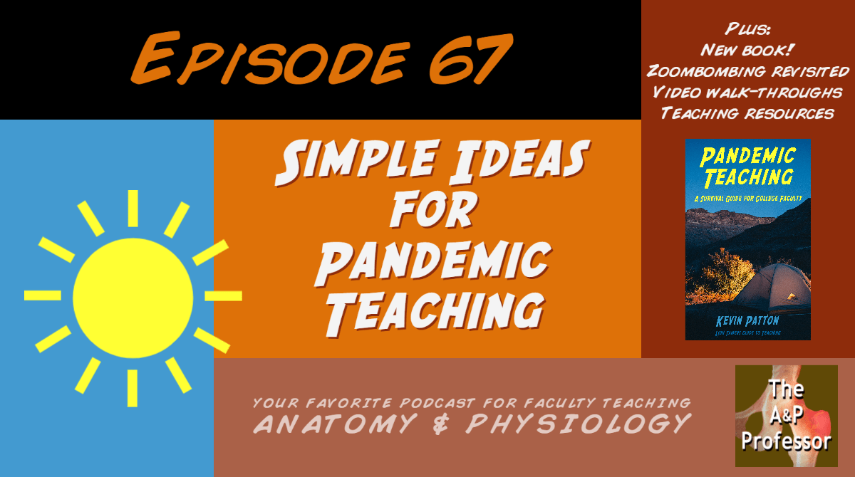 Simple Ideas for Pandemic Teaching | Book Club | Episode 67