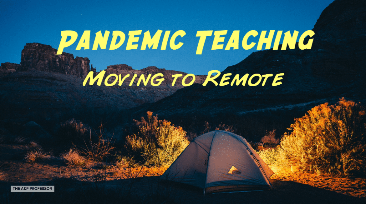 Pandemic Teaching