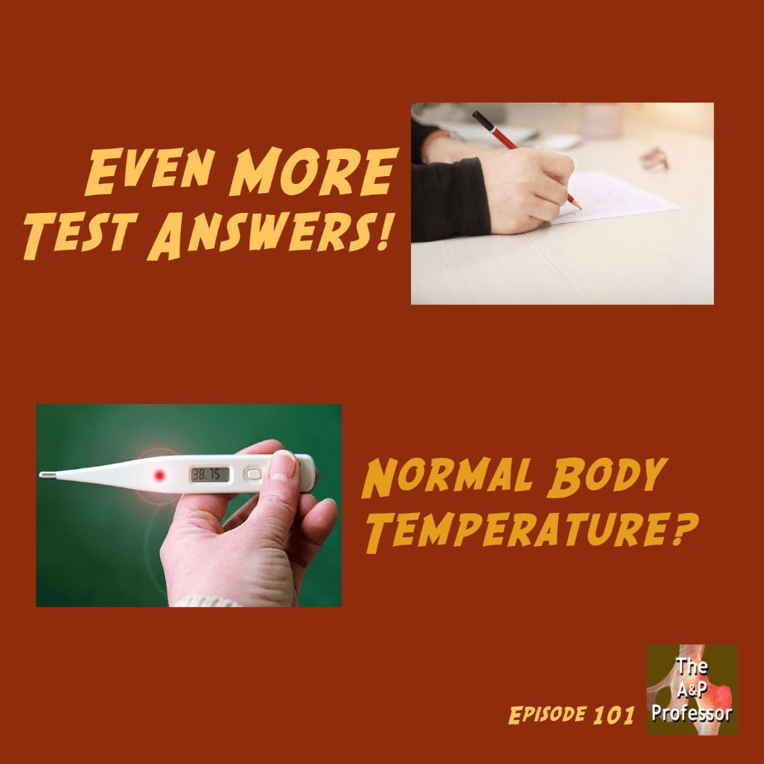 Episode 101 cover with text: even more test answers, normal body temperature