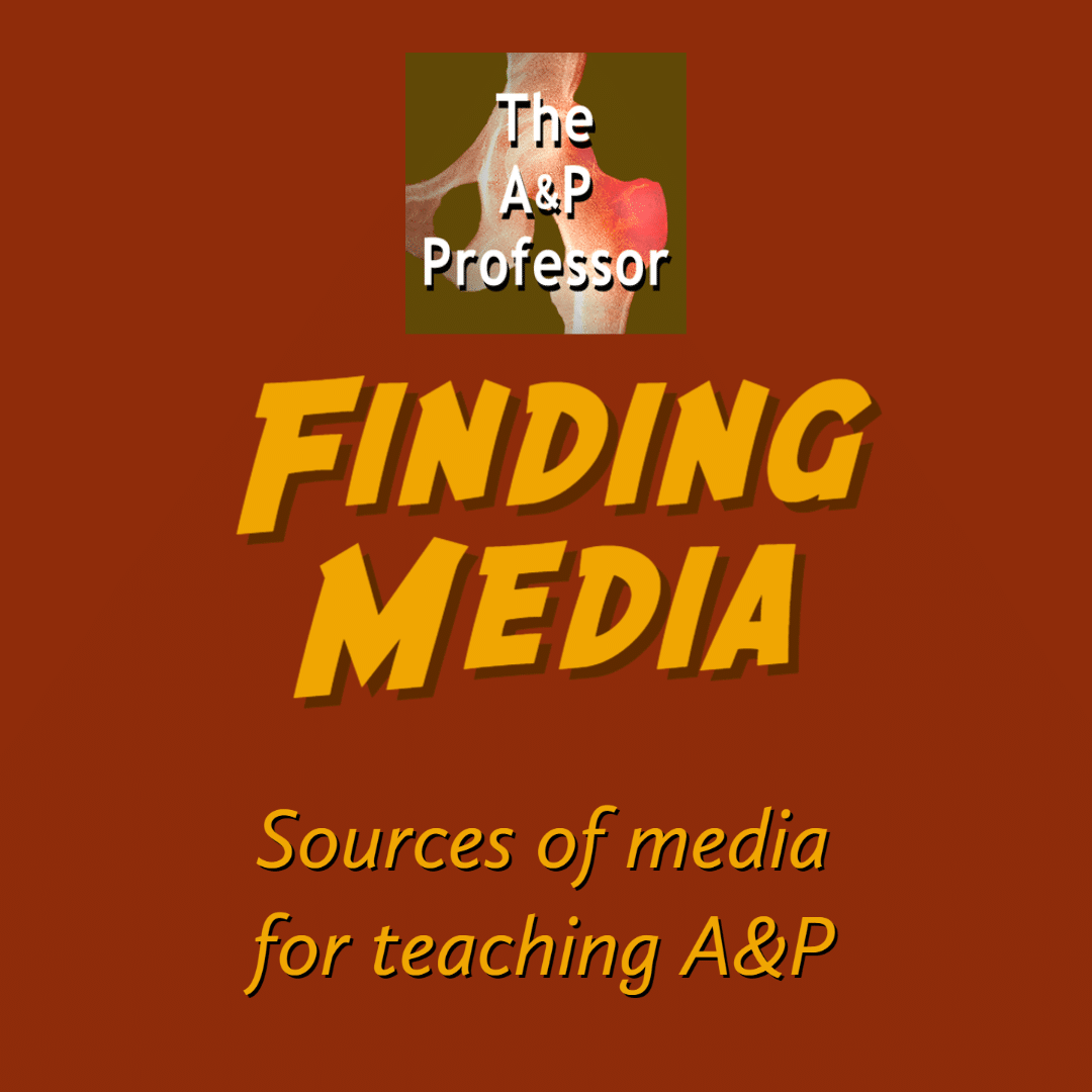 Title: Finding media, sources of media for teaching A&P