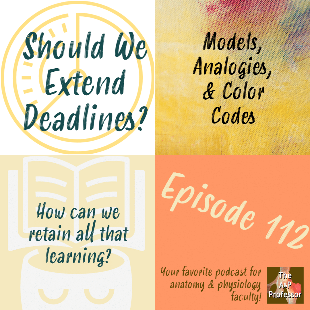collage with captions: should we extend deadlines? Models, analogies, & color codes, How can we retain all that learning?, Episode 112