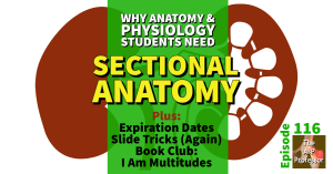Cover for: Why Anatomy & Physiology Students Need Sectional Anatomy | TAPP 116