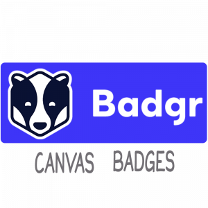 badgr logo