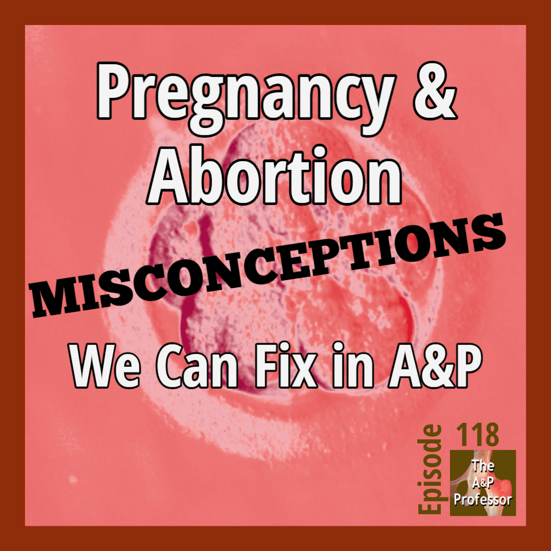 Pregnancy & Abortion Misconceptions We can Fix in A&P | TAPP 118