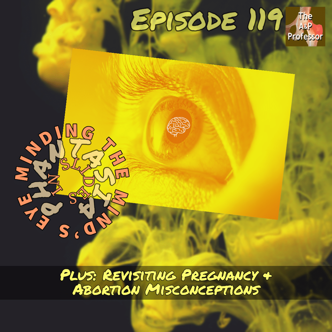 Minding the Mind's Eye in Slides | Feedback on Abortion Misconceptions | TAPP 119