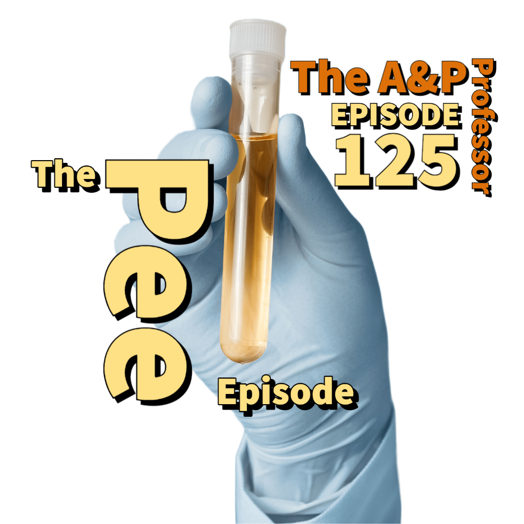 The Pee Episode, Teaching Urinary & Renal Concepts