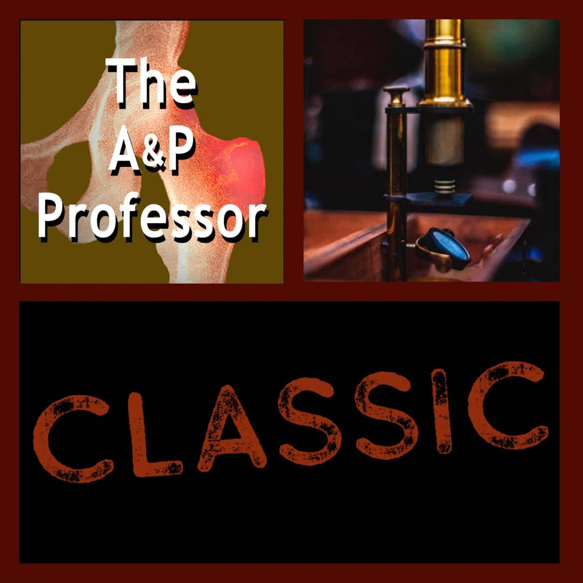 The A&P Professor logo with photo of antique microscope and label "Classic"