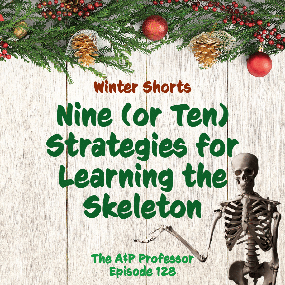 Winter Short: Nine (or Ten) Strategies for Learning the Skeleton | TAPP 128