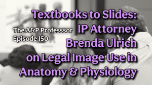 Textbooks to Slides: IP Attorney Brenda Ulrich on Legal Image Use in Anatomy & Physiology | TAPP 150